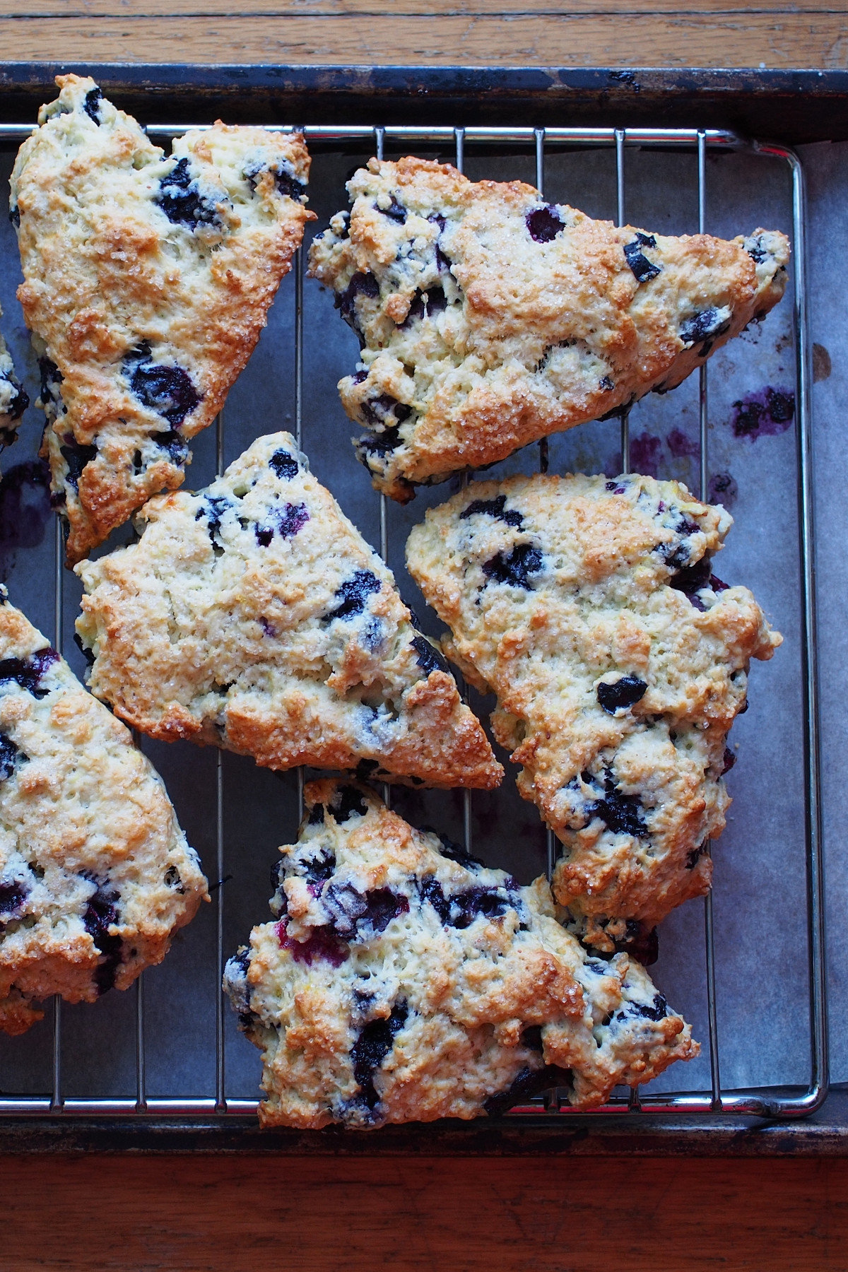 Blueberry scones on a cooking rack that's on top of a parchment-lined baking sheet (close-up vertical orientation).