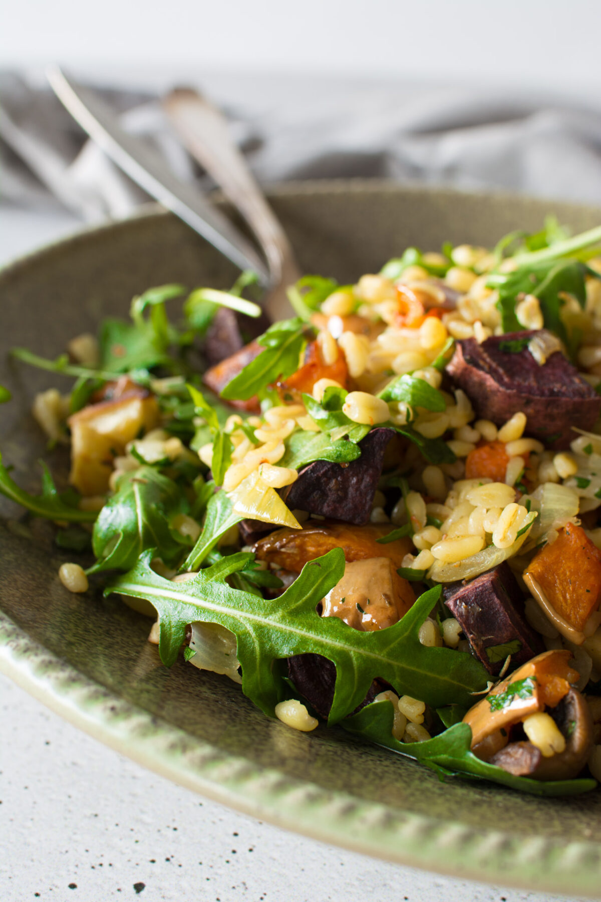 close up image of vegetable winter salad with wheat berries in a plate
